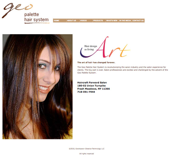Website Design for the Geo Palette Hair System